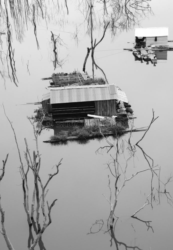 Similar – Baum Boot Wasserfahrzeug