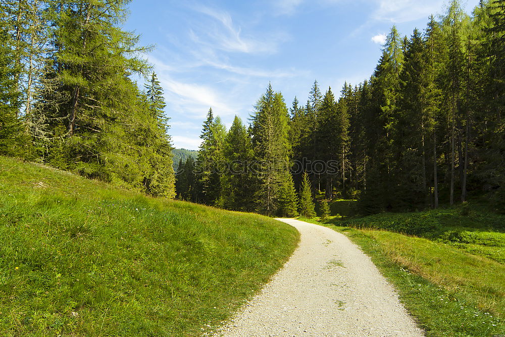 Similar – Image, Stock Photo Woman wanders through the Plamorter Boden, Vinschgau, Italy