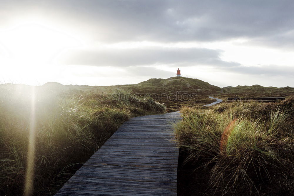 Image, Stock Photo lighthouse Tourism Trip