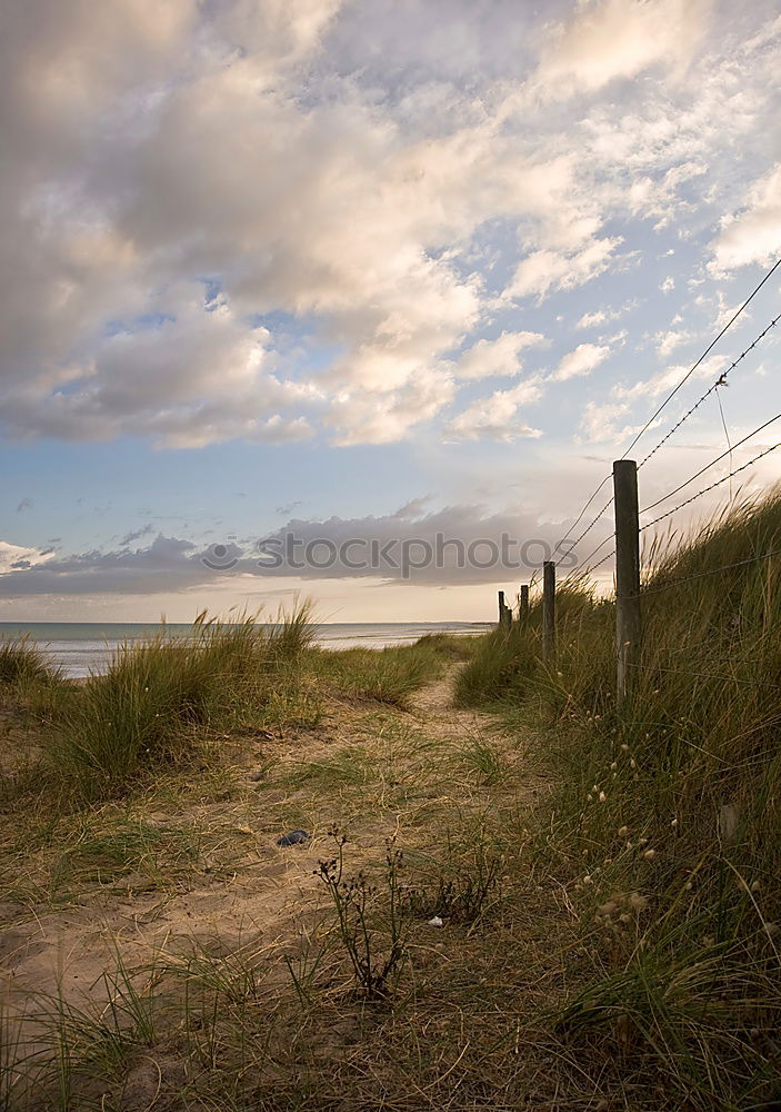 Similar – Heiligendamm Nature