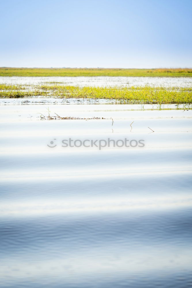 Similar – Westerhever Weite