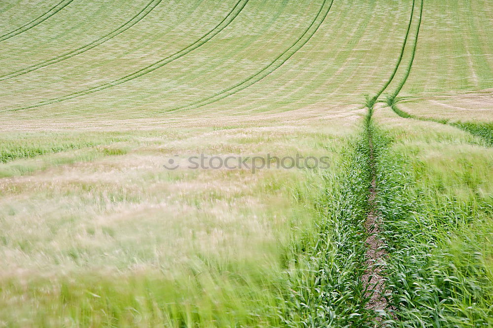 Similar – agriculture Workplace