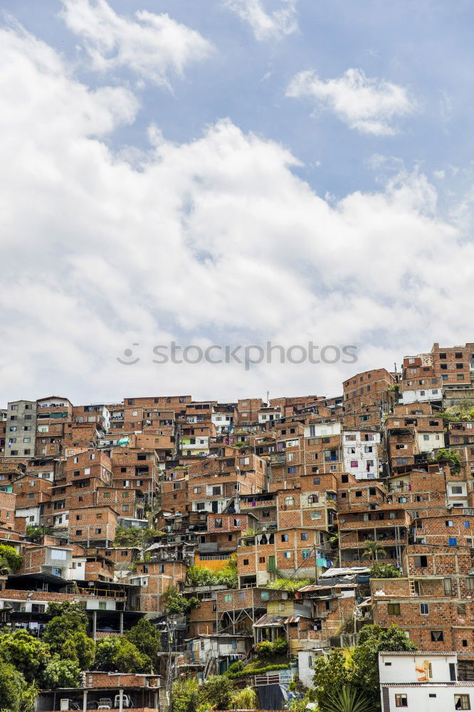 favela Town Blue Brown