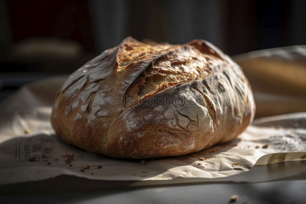 Similar – Image, Stock Photo baked round white wheat bread