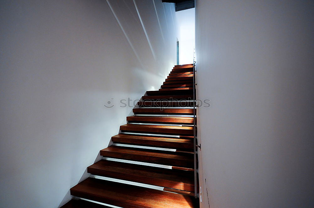 Similar – Image, Stock Photo go Human being 1 Stairs