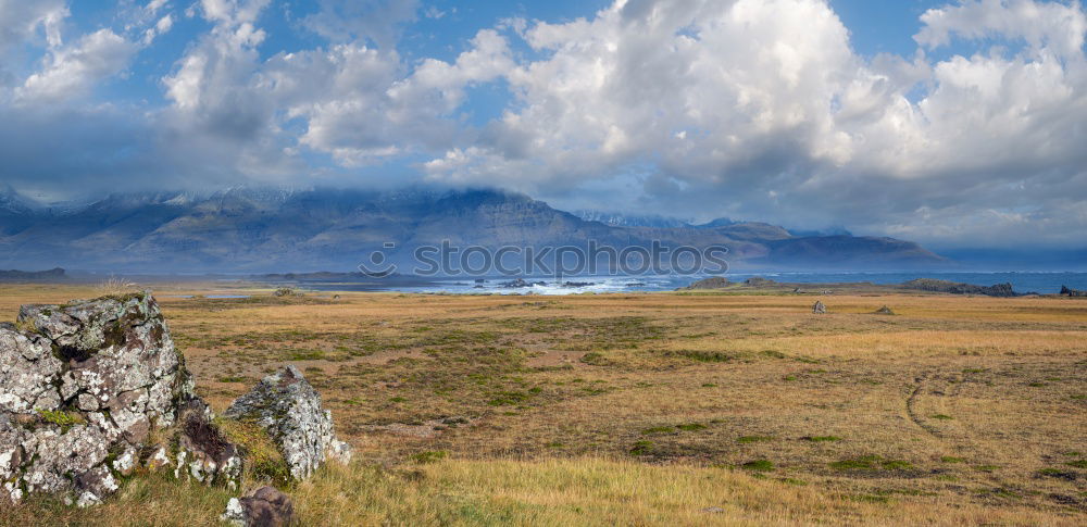 Similar – Image, Stock Photo Limstrand pollen with house