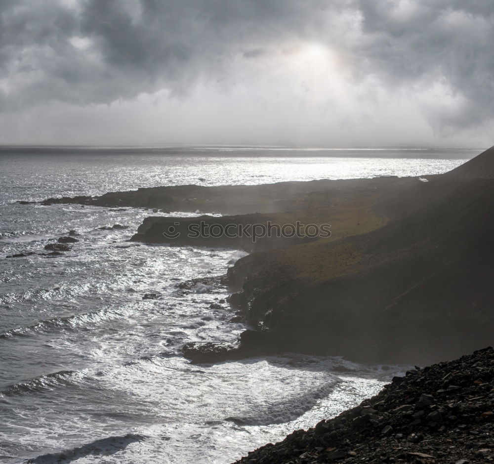 Similar – Ireland Ocean Sheep