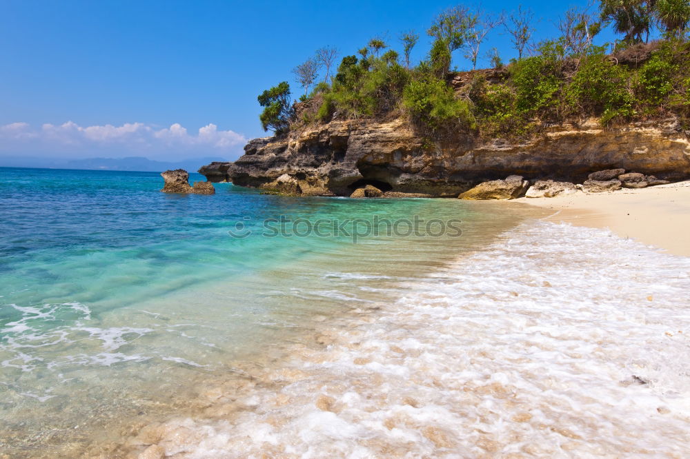 Similar – Beach in New Zealand