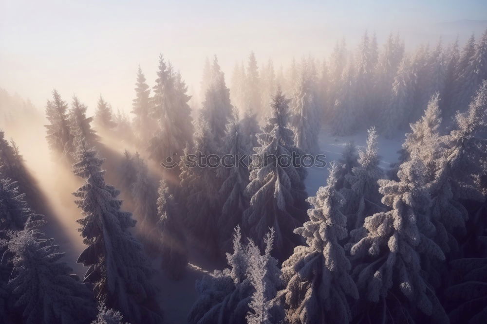 Similar – Image, Stock Photo winter atmosphere