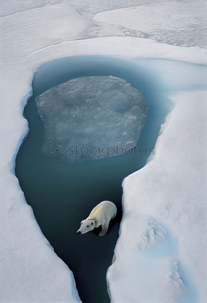 Similar – Image, Stock Photo boat The Arctic Greenland