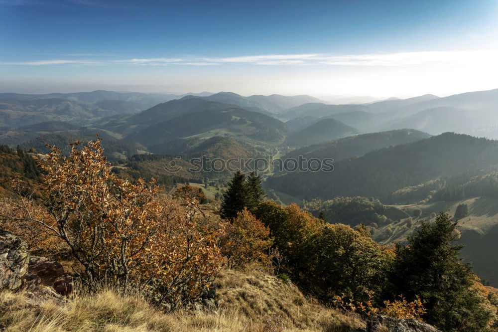 Similar – Image, Stock Photo Road in fall season woodland with clouds and blue sky