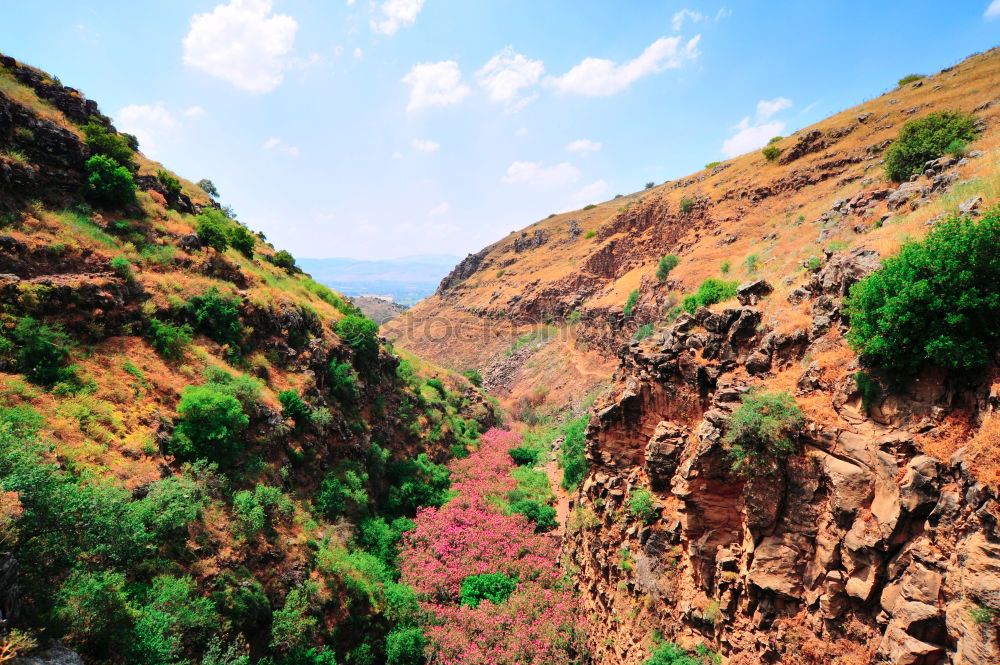 Similar – Image, Stock Photo Oasis Morocco II