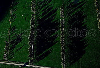 Similar – Foto Bild kralle Wiese Gras grün