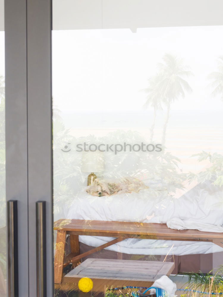 Similar – Image, Stock Photo Terrace and cyclists on the beach