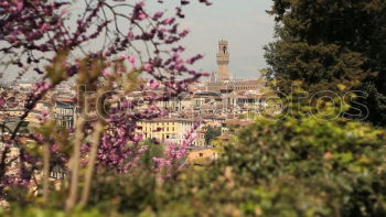 Similar – Image, Stock Photo Stuttgart in spring Nature