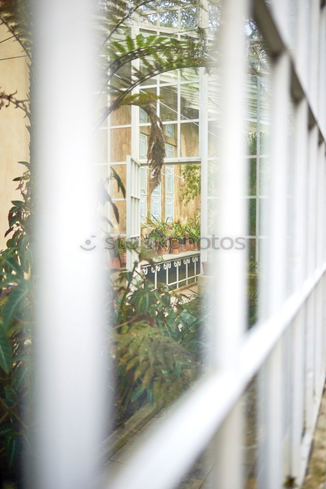 Similar – Image, Stock Photo vintage facade residential house Brighton, England