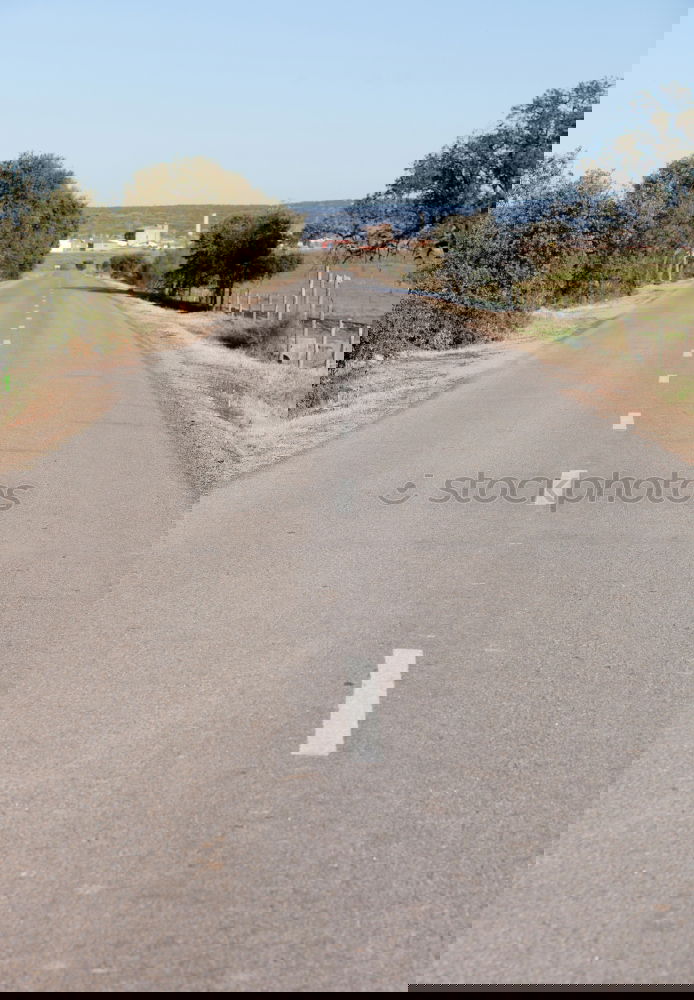 Similar – Foto Bild On the Road. Wildtier