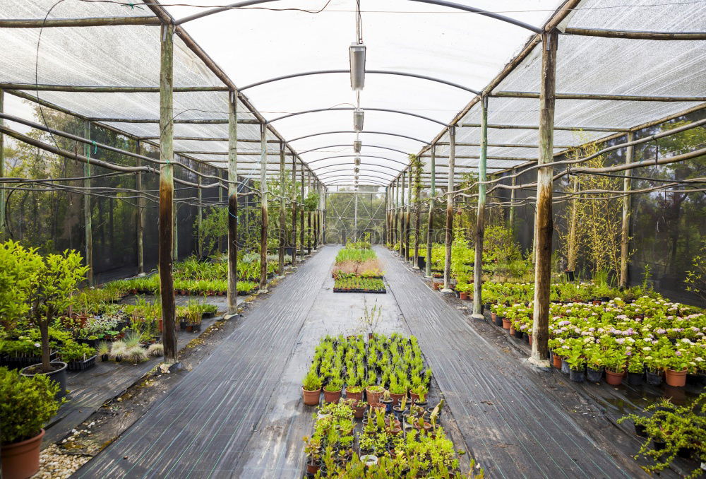 Similar – Foto Bild gartenarbeit Garten