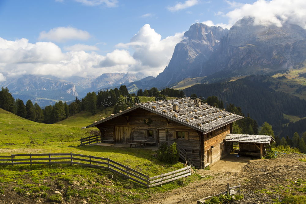 cosy alp Gray Gravel