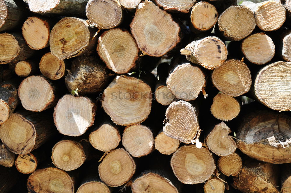 Similar – holzstapel Holz Holzstapel