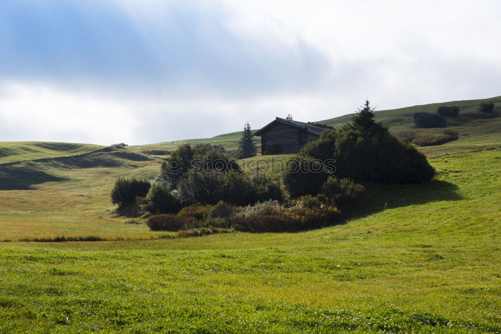 Similar – Image, Stock Photo Swiss Early Fog