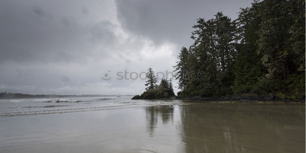 Similar – Foto Bild Morning, Tofino Strand