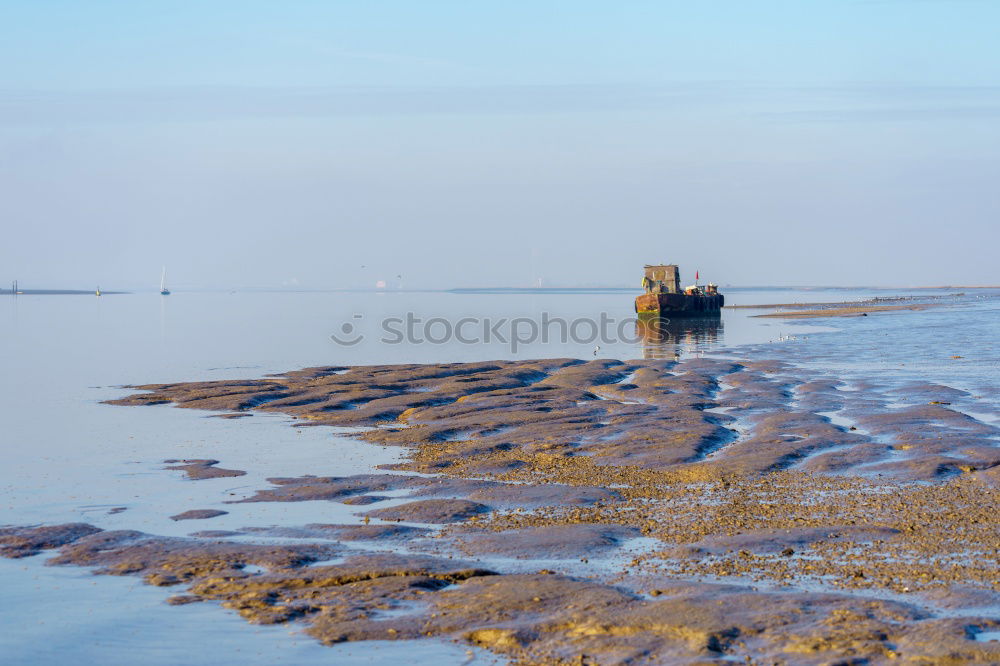 Ebbe am Weserstrand, die Buhnen sind schon ziemlich runtergekommen