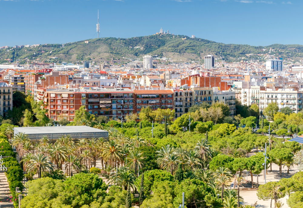 Similar – Image, Stock Photo Barcelona high-rise