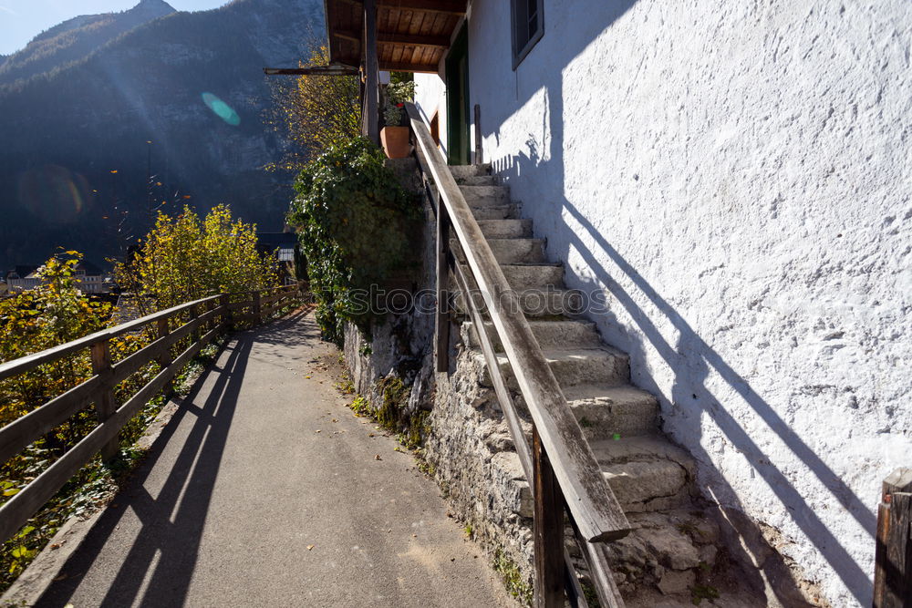 Image, Stock Photo Switzerland way mountains tree