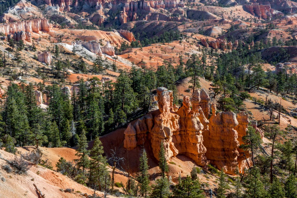 Similar – Image, Stock Photo Bryce Canyon Harmonious