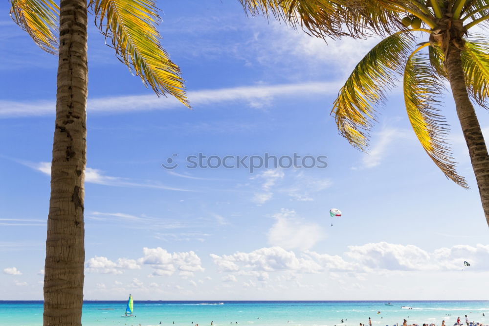 Similar – Maldives island luxury resort wooden pier