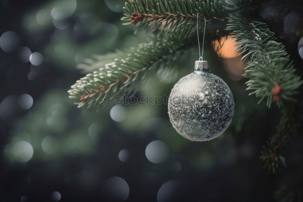 Image, Stock Photo Christmas fir shape Winter
