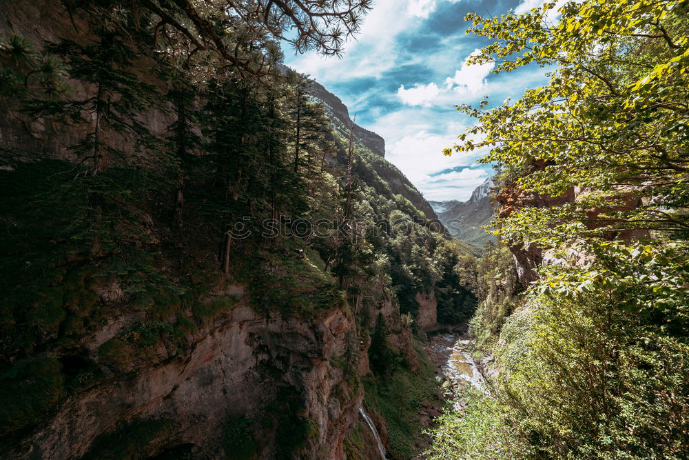 Similar – A detail of a cliff with a waterfall framed by the leaves of some trees