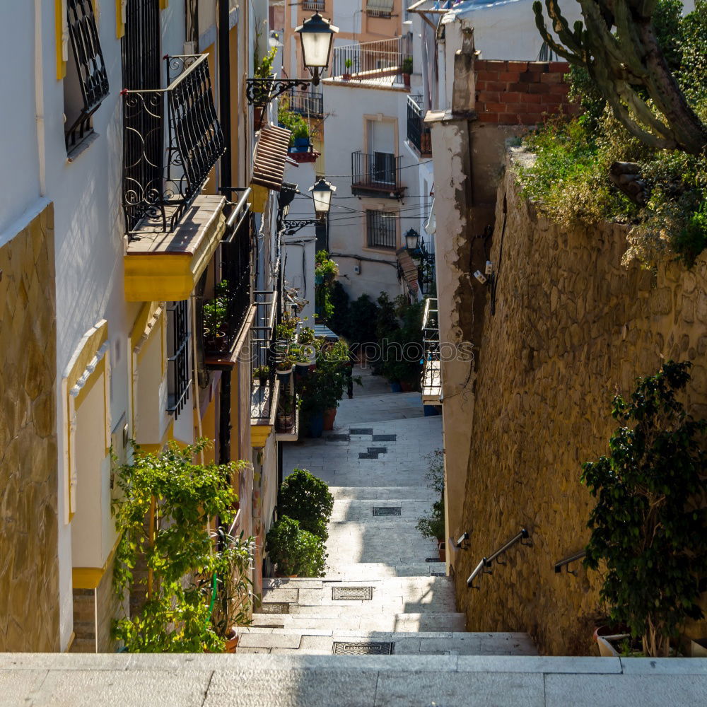 Similar – Image, Stock Photo ramatuelle Town