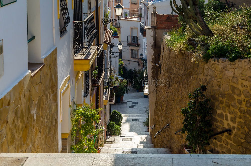 Similar – Image, Stock Photo ramatuelle Town