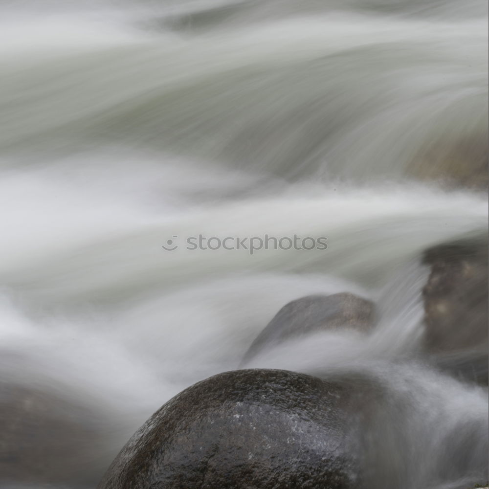 Similar – Image, Stock Photo spiderfalls Leaf Autumn