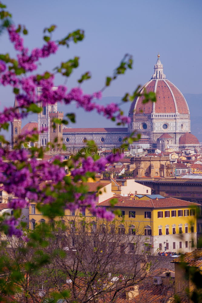 Similar – Image, Stock Photo Cathedral of Florence