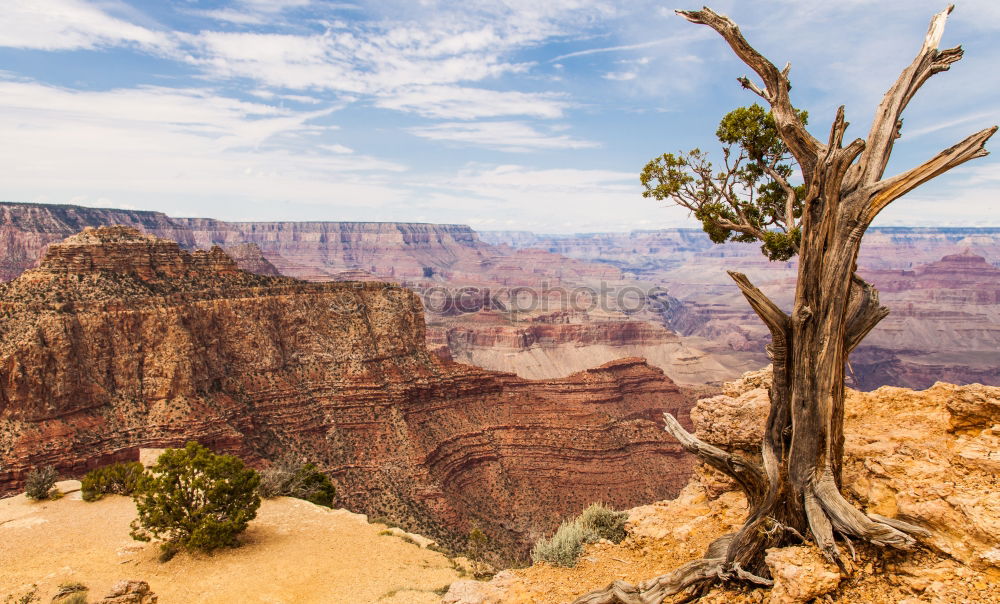 Similar – Grand Canyon Nationalpark