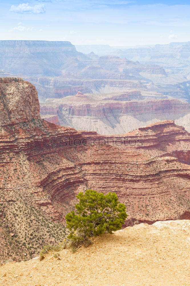 Similar – Foto Bild on the roCks! Umwelt Natur