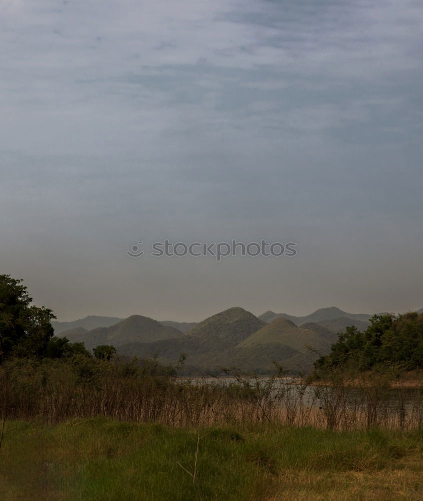 Similar – Image, Stock Photo Tree against a background of bushes mountains and blue sky