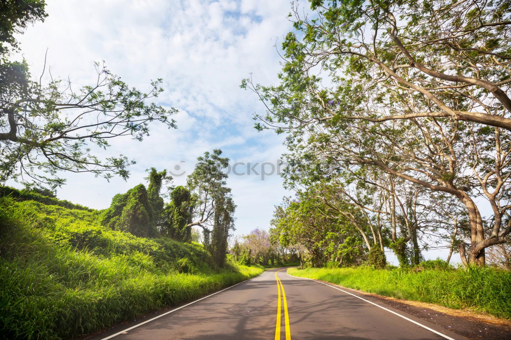 Similar – Image, Stock Photo straight ahead