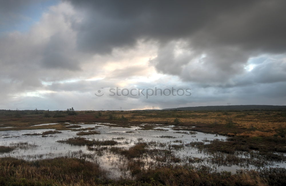 Similar – Image, Stock Photo Pipe and water Grass