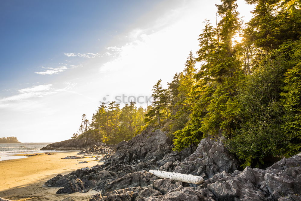 Similar – Image, Stock Photo English Bay Beach in Vancouver, BC, Canada