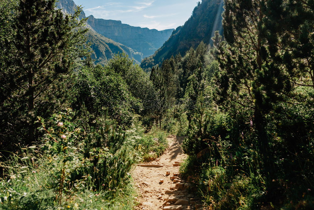 Similar – Image, Stock Photo Mediterranean Hiking Trail