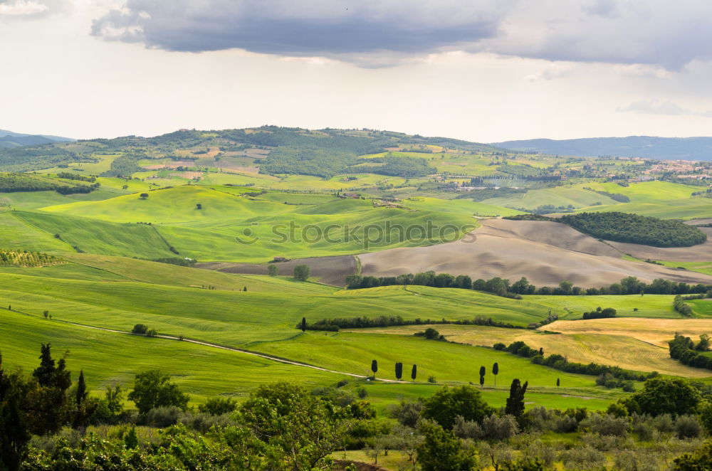 Similar – Image, Stock Photo Beautiful fields, hills of Tuscany, Italy