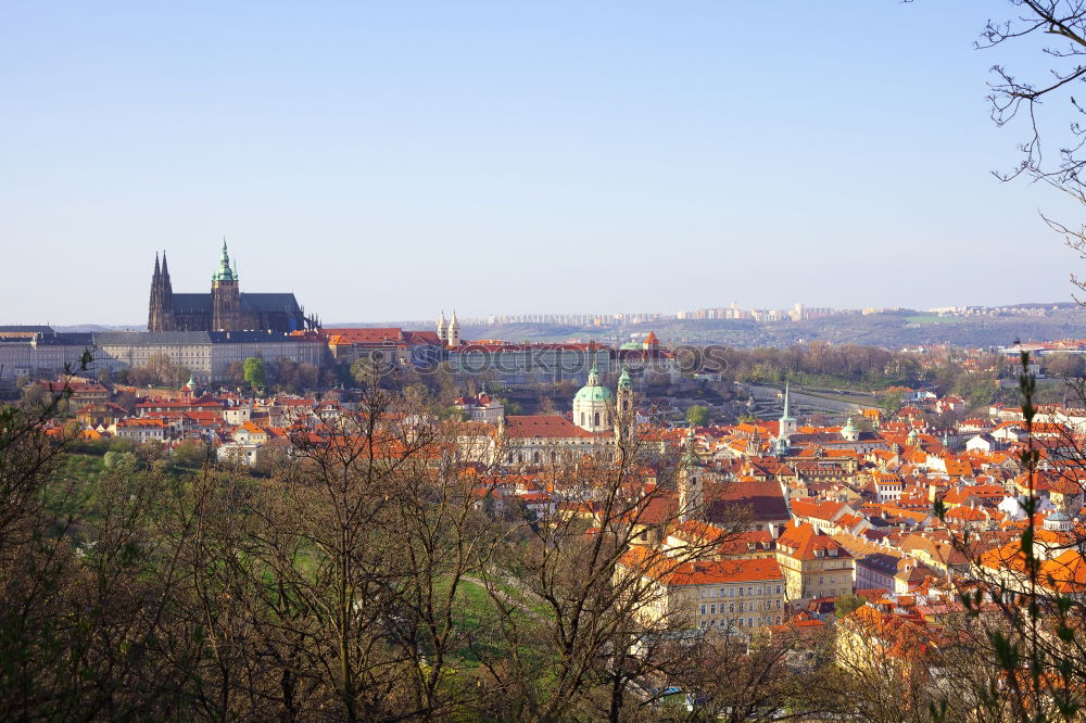 Similar – NATURE IN PRAGUE Prague