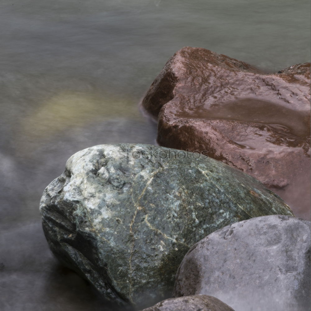 Similar – Image, Stock Photo North dike VII Environment