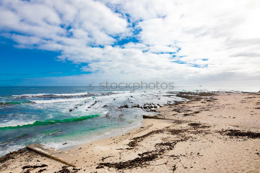 Similar – Algarve Environment Nature