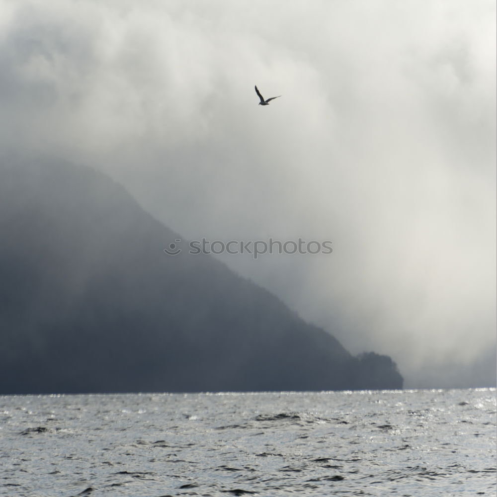 Similar – Sound of Mull on a cloudy day with sailboat