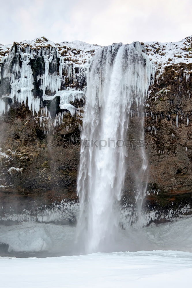 Image, Stock Photo dettifoss.